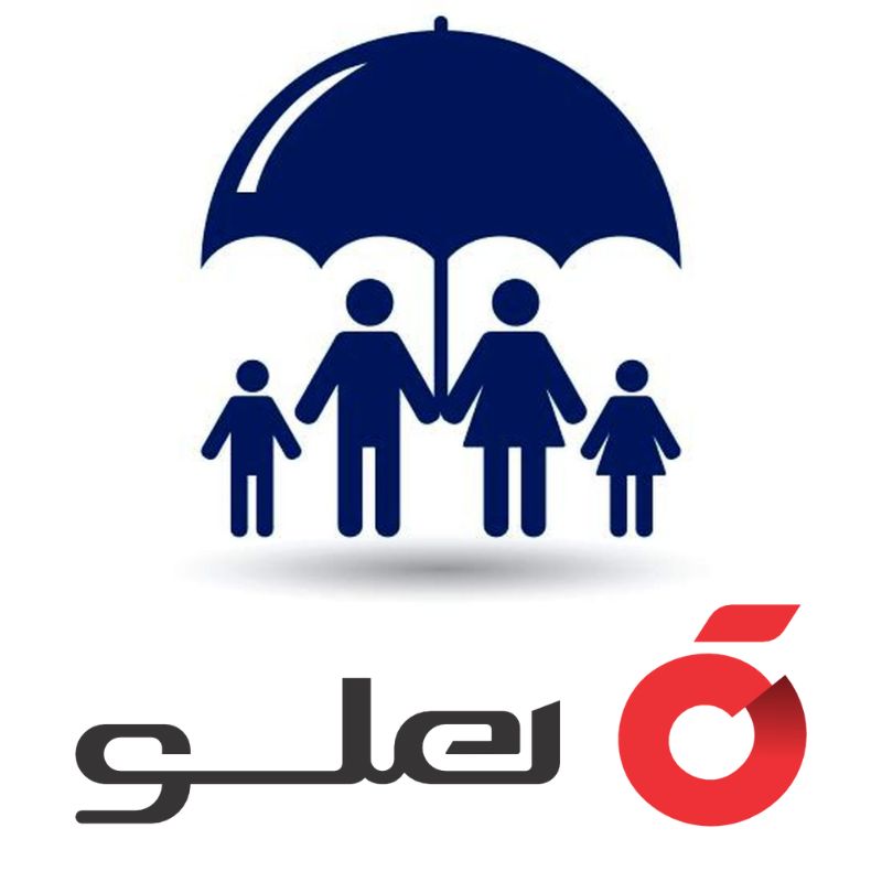 نرم افزار حسابداری دفاتر خدمات بیمه هلو APEX